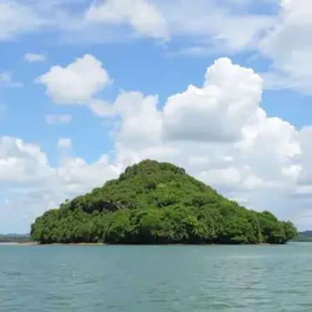 Ilha do Marajó: guia completo para planejar sua viagem