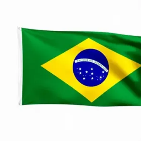 Qual Estado do Brasil mudou sua bandeira? O que significam as novas estrelas?