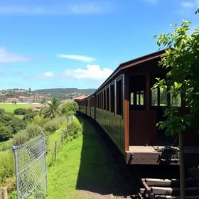 Onde comer na Estrada de Ferro Madeira-Mamoré: sabores locais e boas regiões