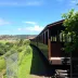 Onde comer na Estrada de Ferro Madeira-Mamoré: sabores locais e boas regiões
