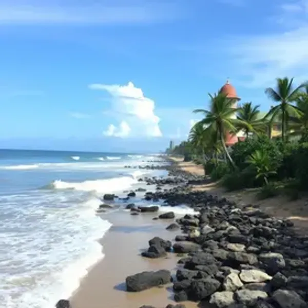 Melhor época para visitar Porto Velho: clima e eventos