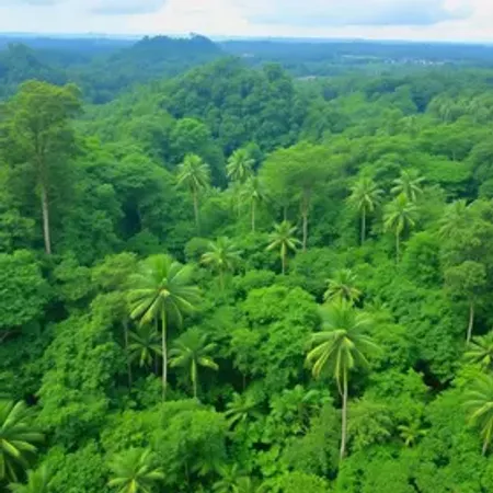 Melhores lugares para experiência de selva na Amazônia: destinos e experiências