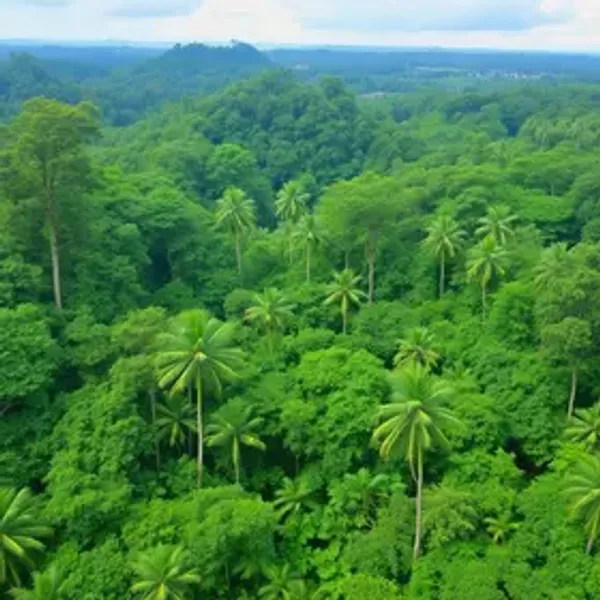 Melhores lugares para experiência de selva na Amazônia: destinos e experiências