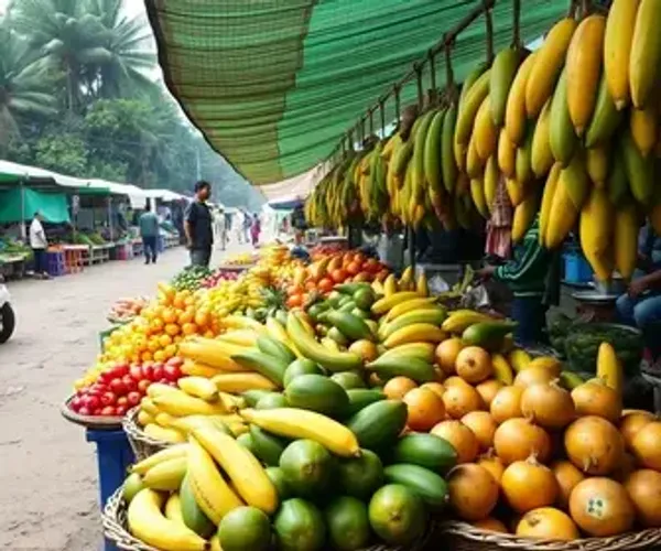 Mercados para provar frutas da Amazônia: onde comer bem