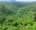 Pacotes de trilhas na Amazônia: o que avaliar antes de contratar
