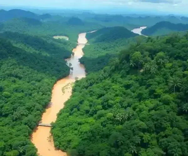 Diferença entre parques nacionais da Amazônia na cheia e na seca