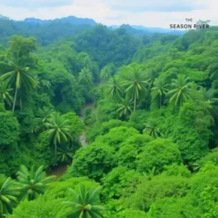 Melhor época para experiência de selva na Amazônia: clima, rios e temporada