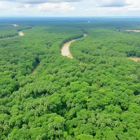 Dicas para visitar Manaus: o que saber antes de ir