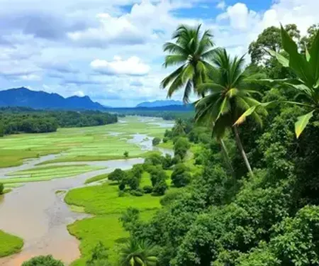 Quanto custa comer na Amazônia: preços e dicas