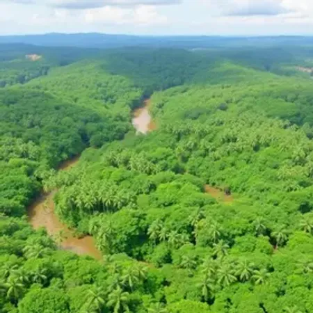 Turismo sustentável na Amazônia online: como pesquisar antes da viagem