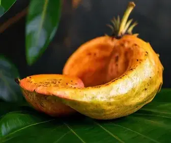 Melhores pratos de frutas da Amazônia: sabores para experimentar