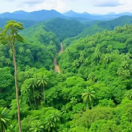 Viagem para a Amazônia para iniciantes online: como pesquisar antes da viagem