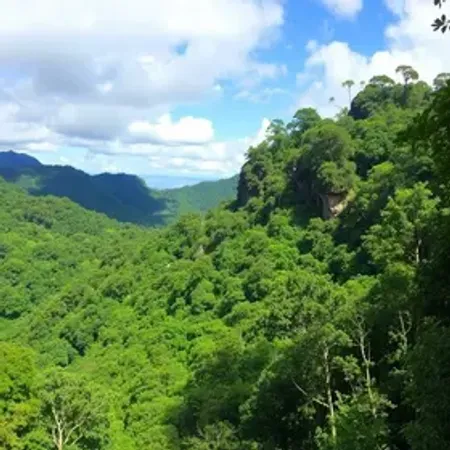 Perguntas frequentes sobre Parque Nacional Montanhas do Tumucumaque: respostas úteis