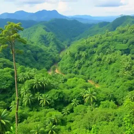 Turismo sustentável na Amazônia vale a pena? Benefícios, cuidados e experiências