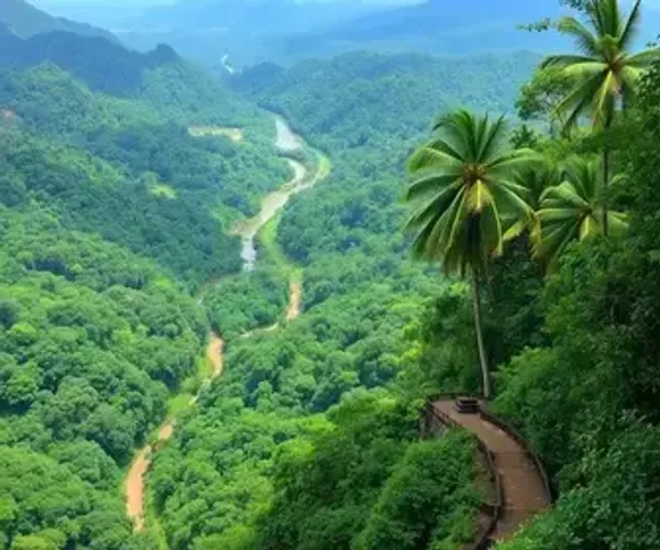 Trilhas na Amazônia online: como pesquisar antes da viagem