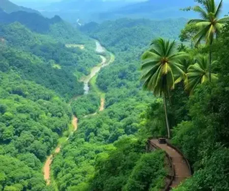 Trilhas na Amazônia online: como pesquisar antes da viagem