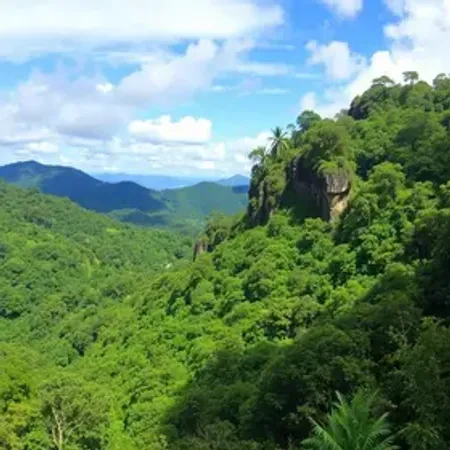 Como chegar no Parque Nacional Montanhas do Tumucumaque: rotas, transporte e dicas