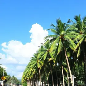 Dicas para visitar Palmas: o que saber antes de ir