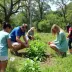 Dicas para visitar Parque Ambiental Chico Mendes: o que saber antes de ir