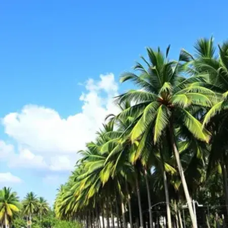 O que fazer em Palmas: atrações, passeios e dicas
