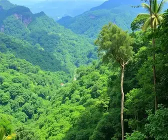 Trilhas na Amazônia para iniciantes: guia simples e prático