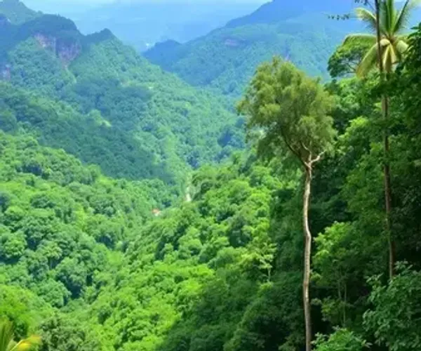 Trilhas na Amazônia para iniciantes: guia simples e prático