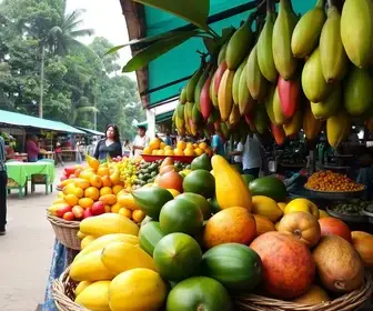 Onde provar frutas da Amazônia: mercados, feiras e restaurantes