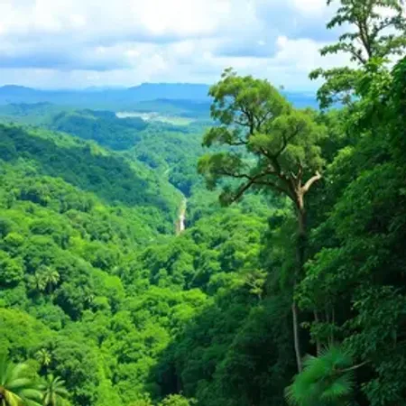 Quanto custa experiência de selva na Amazônia: orçamento e planejamento