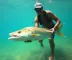 Peixes amazônicos para turistas: o que pedir e como escolher
