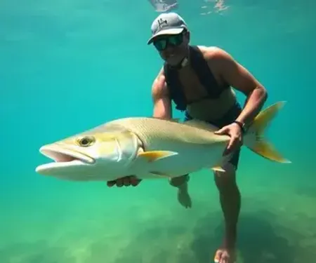 Peixes amazônicos para turistas: o que pedir e como escolher
