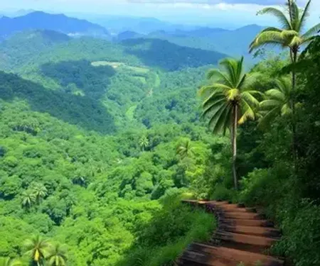 Diferença entre trilhas na Amazônia na cheia e na seca