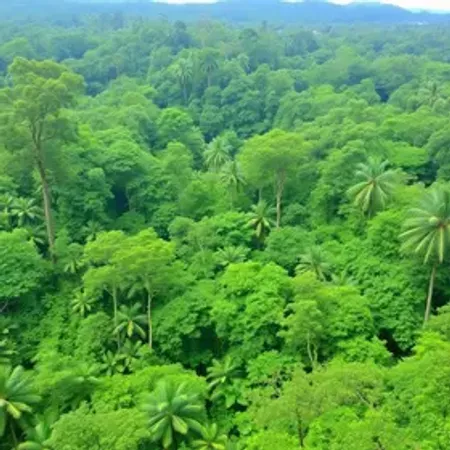 Experiência de selva na Amazônia para iniciantes: guia simples e prático