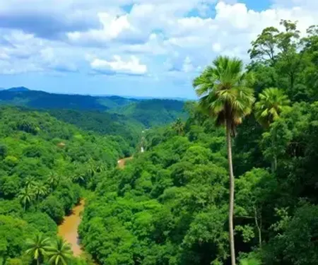 Parques nacionais da Amazônia perto de mim: como encontrar opções próximas