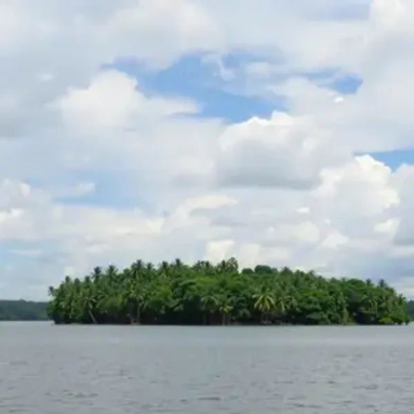 Ilha do Marajó vale a pena? Veja quando incluir no roteiro