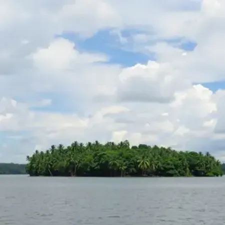 Ilha do Marajó vale a pena? Veja quando incluir no roteiro