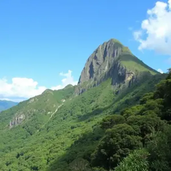Serra do Tepequém vale a pena? Veja quando incluir no roteiro