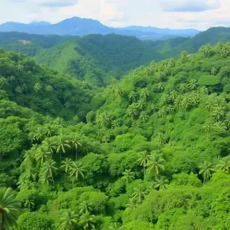 Melhor época para turismo sustentável na Amazônia: clima, rios e temporada