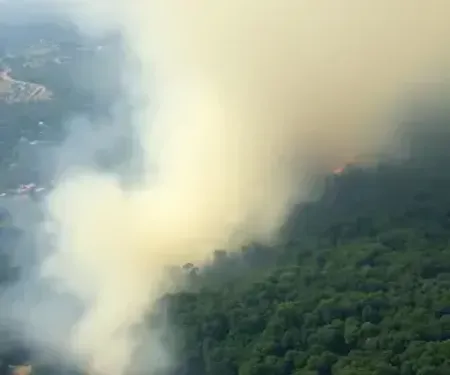 Incêndios disparam no Amazonas e afetam Manaus