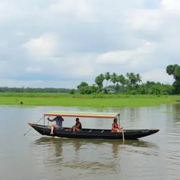 Como aproveitar passeio de barco na Amazônia: dicas para visitantes