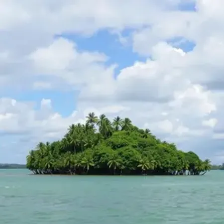 Melhor época para visitar Ilha do Marajó: clima e eventos